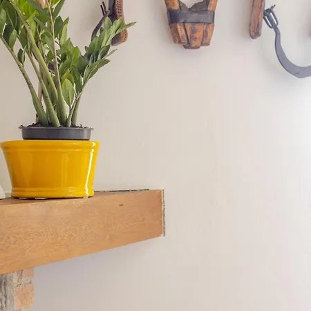 Quiet And Cozy With Wi-fi Casa Prearino Апартаменты Вернацца