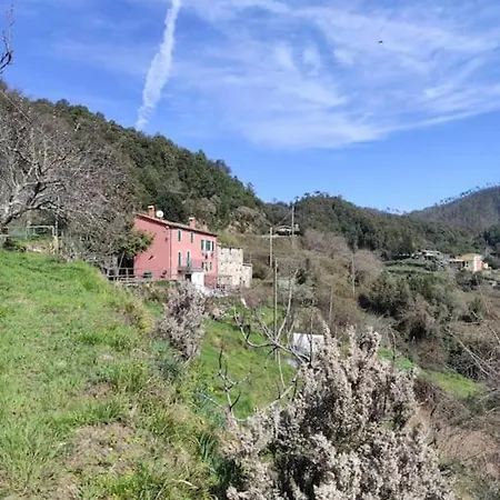 Quiet And Cozy With Wi-fi Casa Prearino Apartment